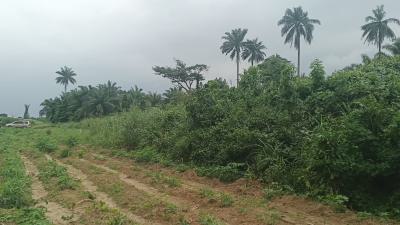 Land Measuring 1 Acres, Igbooye Ilara, Epe, Lagos, Mixed-use Land for Sale