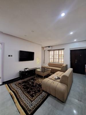 a Luxurious Standard Fully Furnished Mini Flat with 24 Hours Light and S, Paradise 3 Estate, Chevron Drive, Lekki, Lagos, Mini Flat (room and Parlour) for Rent