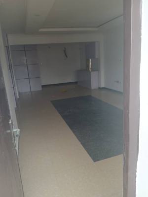 Massive 1 Bedroom Apartment with Balcony, Ikate, Lekki, Lagos, Mini Flat (room and Parlour) for Rent