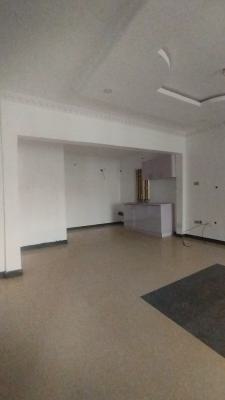 Spacious Massive Luxury Minflat Bedroom, Secure Estate Ikate Lagos, Lekki, Lagos, Mini Flat (room and Parlour) for Rent