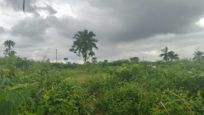 Land Measuring 1 Acres, Ilara Opposite Augustine University, Epe, Lagos, Mixed-use Land for Sale