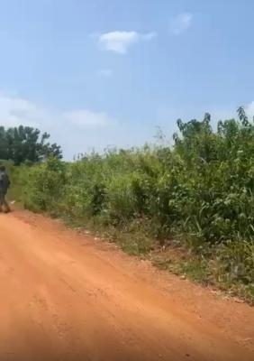 2 Acres of Land, Ibogun, Ifo, Ogun, Land for Sale