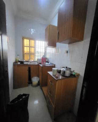 Luxurious Massive 1 Bedroom Flat, By American International School, Durumi, Abuja, Flat / Apartment for Rent