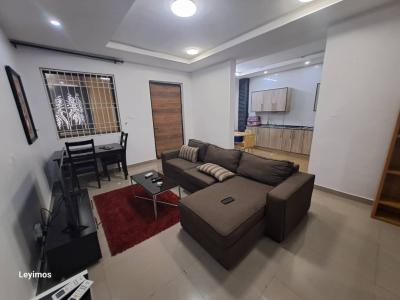 Furnished 2bedroom Flat at Off Ajose Adeogun Street,victoria Island, Victoria Island (vi), Lagos, Flat / Apartment for Rent