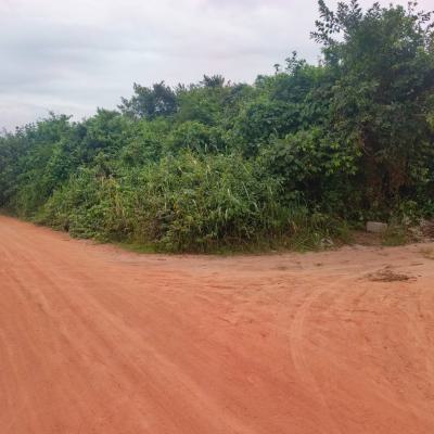 50 Acres of Dry Land in a Perfect Location, Isinwo, Ijebu Ode, Ogun, Mixed-use Land for Sale