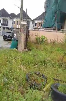 830sqm in a Developed Estate, Chevron Drive, Lekki Phase 2, Lekki, Lagos, Residential Land for Sale