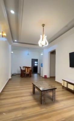 Luxury Furnished 2 Bedroom Flat with Inverter & Gen (24/7 Light), Off Amino Kano, Wuse 2, Abuja, Flat / Apartment for Rent