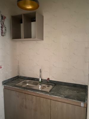 This Luxury 1-bedroom Apartment in Kilo, Surulere,, Surulere, Lagos, Mini Flat (room and Parlour) for Rent