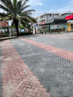 Detached House, Victoria Island (vi), Lagos, Detached Duplex for Rent