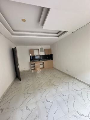 Mini Flat with Spacious Sitting Room, Emma Abimbola, Off Fola Osibo, Lekki Phase 1, Lekki, Lagos, Mini Flat (room and Parlour) for Rent