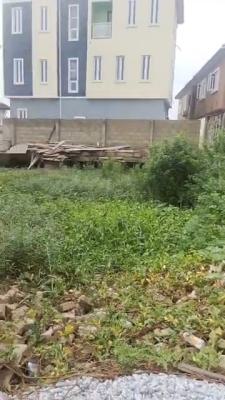 Prime Land with 11 Point Pilling, Greenland Estate, Maryland, Lagos, Land for Sale