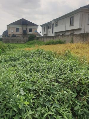 Full Plot of Land in a  Very Decent Estate and Good Location, Opic, Isheri North, Lagos, Residential Land for Sale