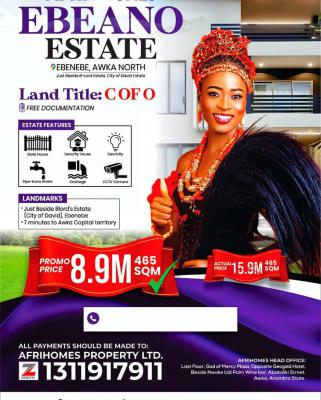 Mixed Use Land, *ebeano Estate Ebenebe* Beside B-lord Estate City of David, Awka, Anambra, Mixed-use Land for Sale