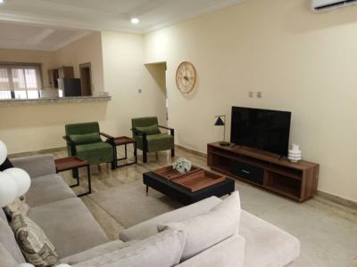 Luxury Partly Furnished 1 Bedroom Flat in a Nice Estate on Tarred Road, Garki, Abuja, Mini Flat (room and Parlour) for Rent