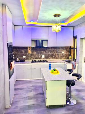 Smart Fully Serviced 2 Bedroom Apartmemt  in a Secured Estate, Platinum Way, Ikate, Lekki, Lagos, House for Rent