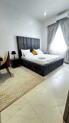 Astonishingly Furnished 2 Bedroom Apartment, Old Ikoyi, Ikoyi, Lagos, Flat / Apartment for Rent