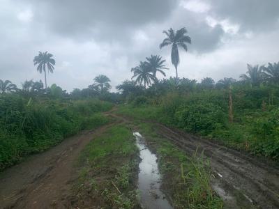 Residential Land with C of O Title, Orozo, Abuja, Residential Land for Sale
