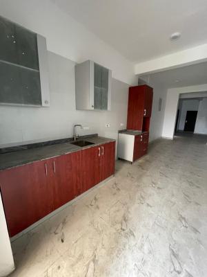 Luxurious 3 Bedroom, Ikate, Lekki, Lagos, Flat / Apartment for Rent