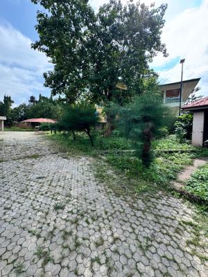 Strategically Located Commerical Property Along Major Road, Along Ademola Adetokunbo Crescent, Wuse 2, Abuja, Commercial Property for Sale