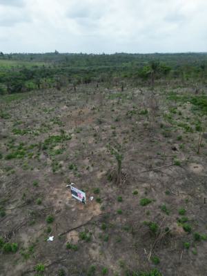 Land, Investment Land in a Fast Growing Location, Ikorodu, Lagos, Land for Sale