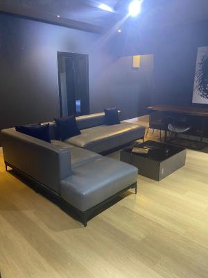 Fully Furnished 2 Bedroom Apartment, Freedom Way, Lekki, Lekki, Lagos, Flat / Apartment Short Let
