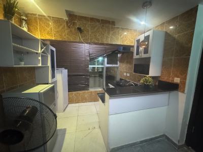 a Luxury 1 Bedroom in a Fully Serviced Estate, By Meadow Hall Way, Ikate, Lekki, Lagos, Mini Flat (room and Parlour) for Rent