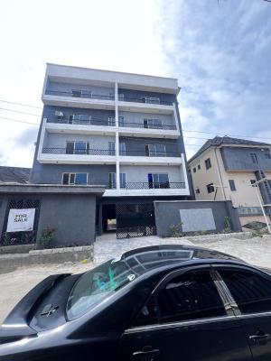 Exquisitely Finished 2 Bedroom Apartment, Ikate, Lekki, Lagos, Flat / Apartment for Sale