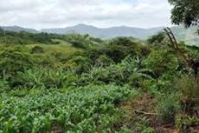 124 Acres of Land, Sagamu-ijebu Ode Road, Odogbolu, Ogun, Mixed-use Land for Sale