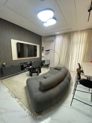Furnished 2 Bedrooms Luxury Apartments Upstairs with Gym, Phase One Lekki, Lekki Phase 1, Lekki, Lagos, Flat / Apartment for Rent