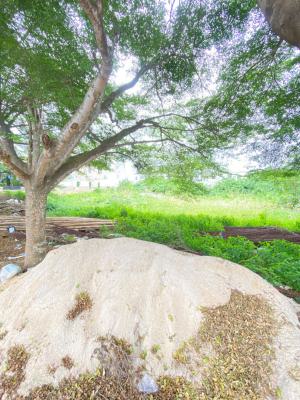 1000sqm Dryland in a Fully Developed Estate, Ocean Bay Estate Orchid Road Lekki, Lekki, Lagos, Residential Land for Sale