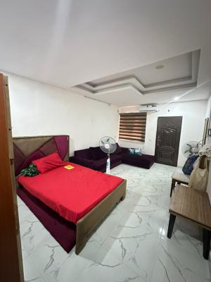 Luxury Spacious Room and Parlor, Emma Abimbola Street, Lekki, Lagos, Mini Flat (room and Parlour) for Rent