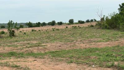 Affordable and Verified Dry Land, Palm Royal Located 30min Drive From Alaro City, Ibeju Lekki, Lagos, Mixed-use Land for Sale