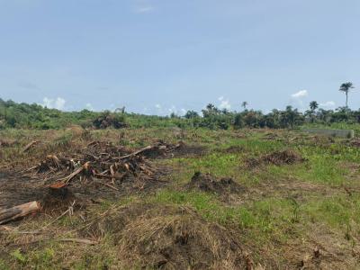 100% Dry Land with Instant Allocation, North Beach Front Located 1hour Drive From La Campaign Tropicana, Ode Omi, Ibeju Lekki, Lagos, Mixed-use Land for Sale