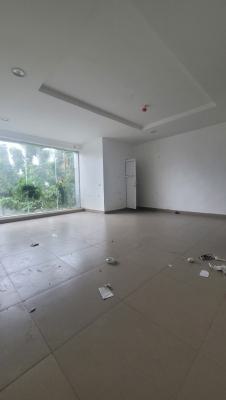 Massive Luxurious Space for Office/shop 35sqm, Guzape District, Abuja, Shop for Rent