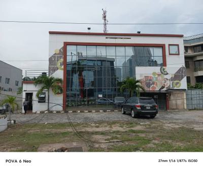 Building, Adeola Hopewell, Victoria Island (vi), Lagos, Semi-detached Duplex for Sale