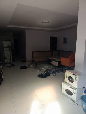 Spacious Room and Parlor (mini Flat) Fully Serviced, Secured Estate, Agungi, Lekki, Lagos, Mini Flat (room and Parlour) for Rent