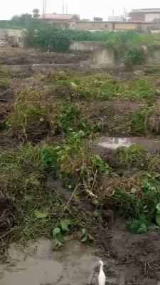 Full Plot of Land, Isawo, Agric, Ikorodu, Lagos, Residential Land for Sale