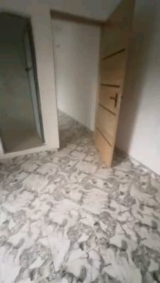 a 2units of Newly Built and Standard Miniflat, Upstairs and Downstairs, Palmgrove, Shomolu, Lagos, Mini Flat (room and Parlour) for Rent