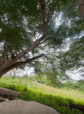 Sweet Deal 1,80sqm Available for Purchase Facing The Major Road Orchid, Orchid Road Lekki Before Vista Estate, Lekki, Lagos, Mixed-use Land for Sale