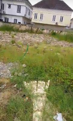 1000sqm Dry Land, Chevron, Lekki, Lagos, Mixed-use Land for Sale