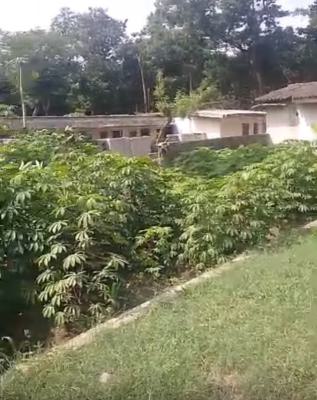 24,000sqm Open Land Situated in a Prime Location, Victoria Island (vi), Lagos, Commercial Land for Rent