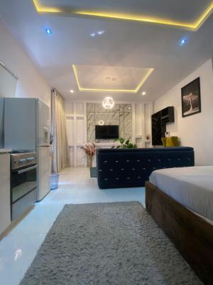 Furnished 3 Bedroom Flat with Bq, Pool, Gym, Elevator and 24hr Power, Off First Avenue, Old Ikoyi, Ikoyi, Lagos, Flat / Apartment for Rent