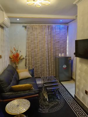 Luxury Fully Furnished Super Executive 3bedroom Apartment  for Short, Off Opebi Road Ikeja, Opebi, Ikeja, Lagos, Flat / Apartment for Rent