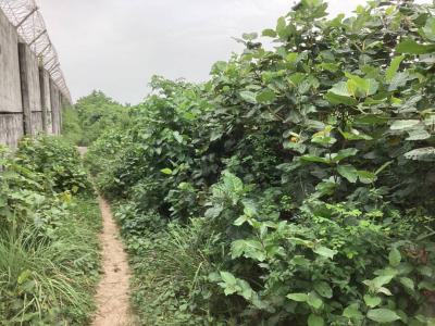 33 Acres of Dry Land in a Strategic Location, Ibeju Lekki, Lagos, Commercial Land for Sale