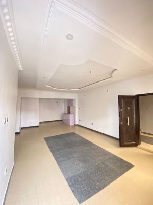 Spacious 1 Bedroom Apartment, Ikate, Lekki, Lagos, Flat / Apartment for Rent