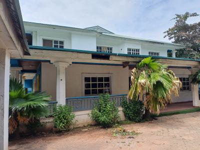 Spacious 9 Bedroom Detached Duplex with 2 Rooms Bq, Wuse 2, Abuja, Detached Duplex for Rent