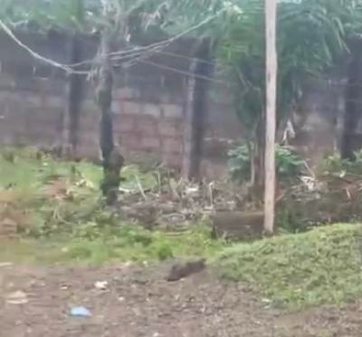 10,000 6inches Blocks 100ft By 200ft Land, 2nd Ugbor Road By Gaius Idubor Road, Benin, Oredo, Edo, Land for Sale