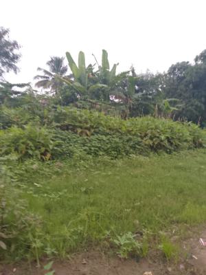 a Plot of Land Opposite Icc University of Ibadan, Opposite International Conference Centre, University of Ibadan, Ibadan, Oyo, Land for Sale