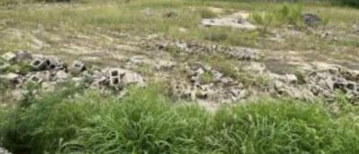 Plots of Land with C of O, Alexander, Ikoyi, Lagos, Land for Sale