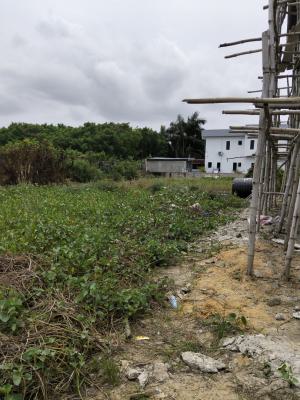 Luxury with C of O Land, Peace Gardens Estate,share Proximity to Shoprite, Sangotedo, Ajah, Lagos, Residential Land for Sale